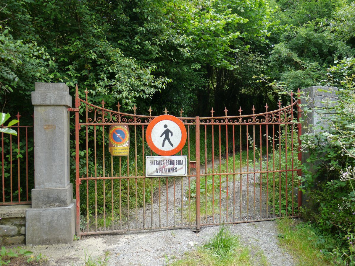 Zer egingo diogu ba!