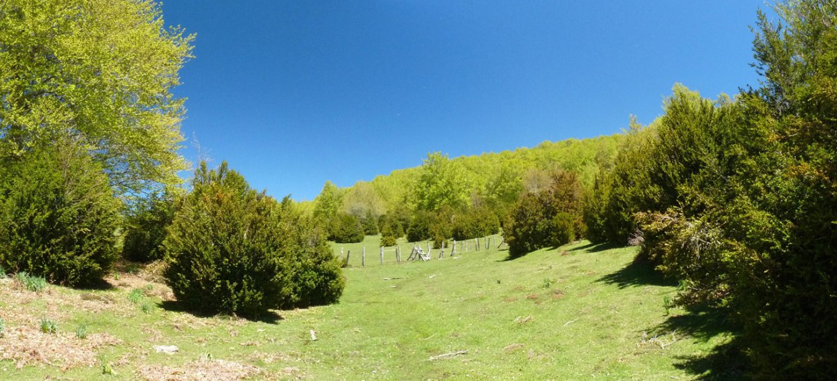 Ataka Baxa Malatik hurbil