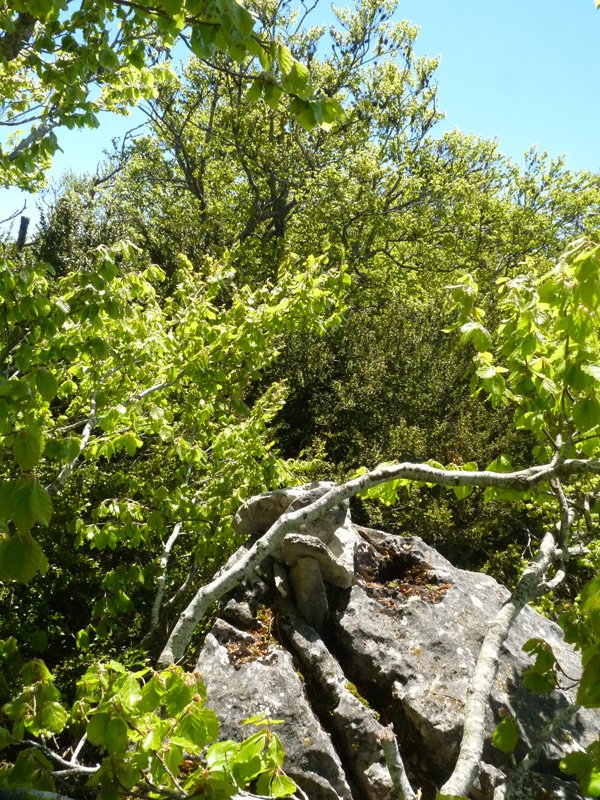 Maitzako gailur itxia