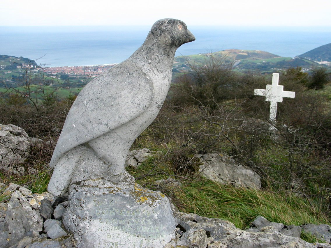 Harrizko hegaztia tontorrean