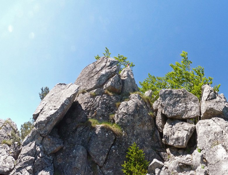 Motxorroko gailur ikusgarria