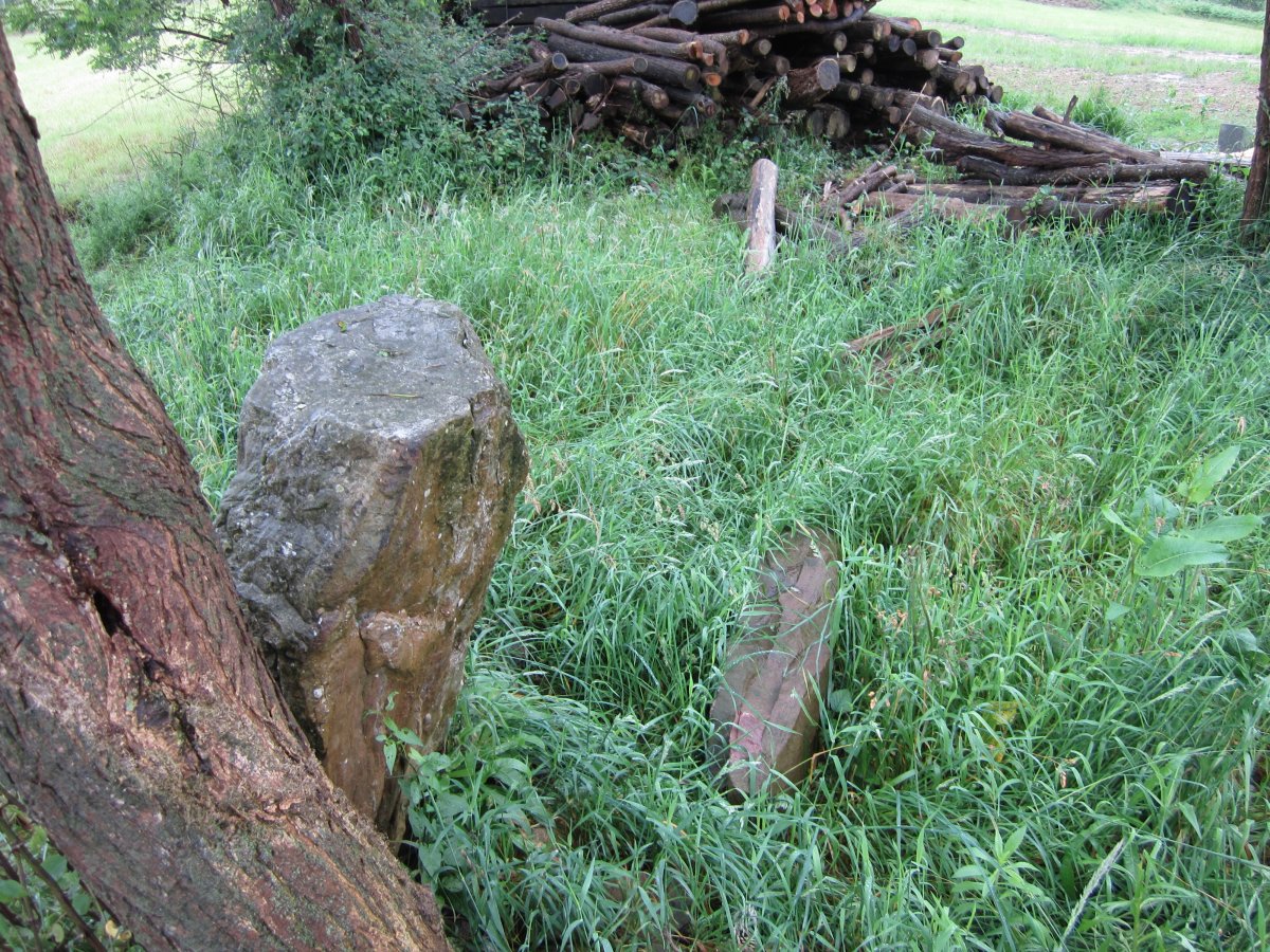 Cista Mariola 06-2013