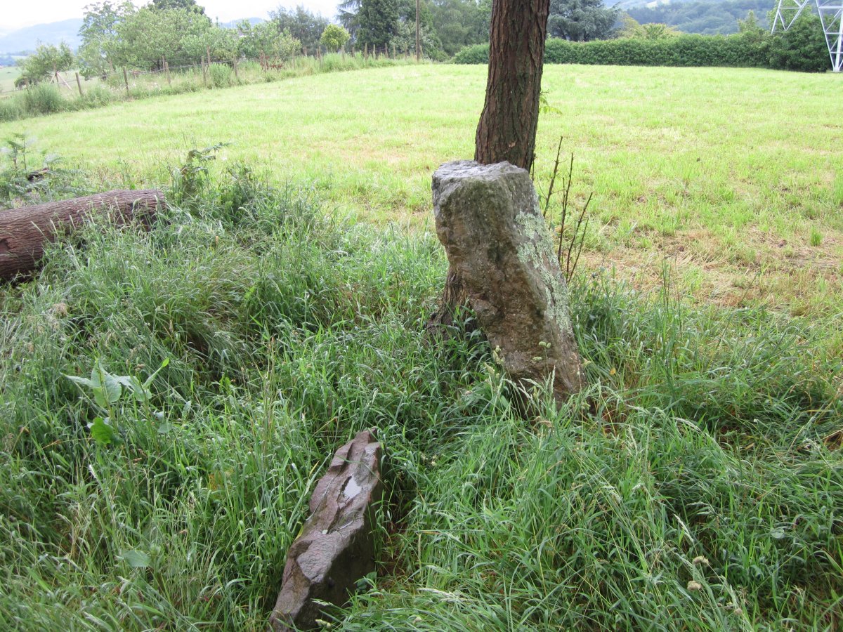 Cista Mariola  06-2013