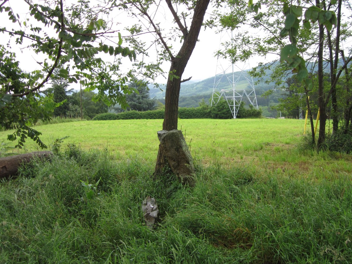 Cista Mariola   06-2013