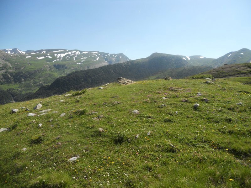 Barranco de Tacheras trikuharria