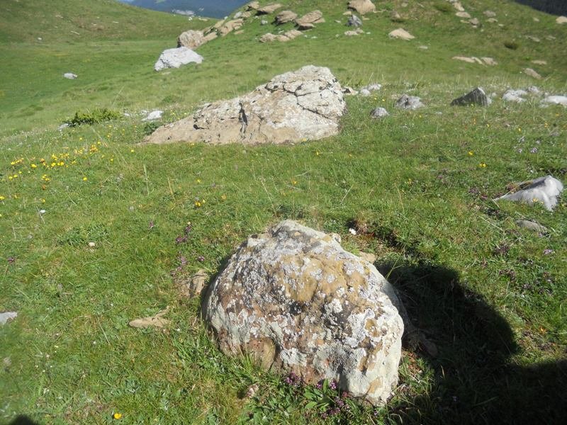 Barranco de Tacheras trikuharria