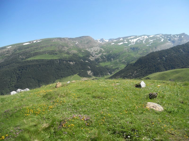 Barranco de Tacheras tumulua
