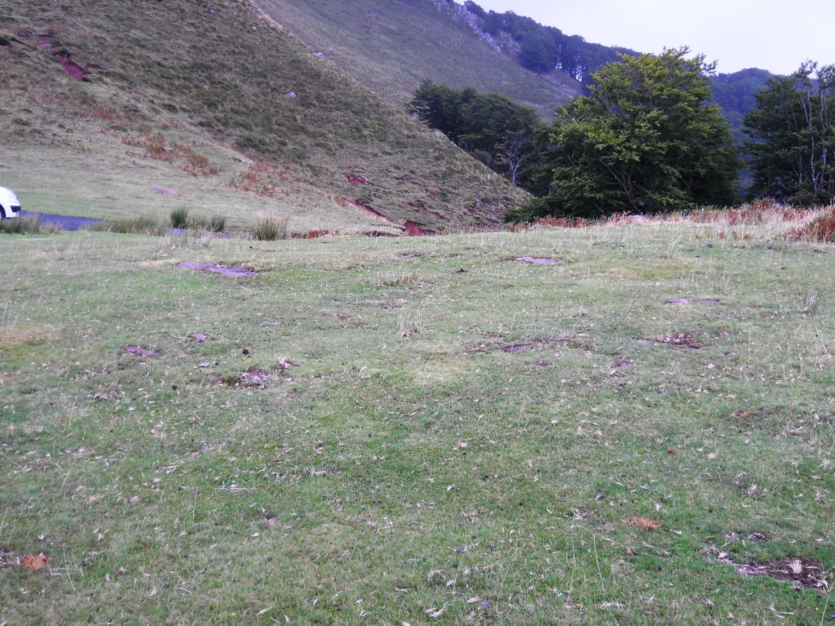 Ixtauzeko lepoko harrespila 2