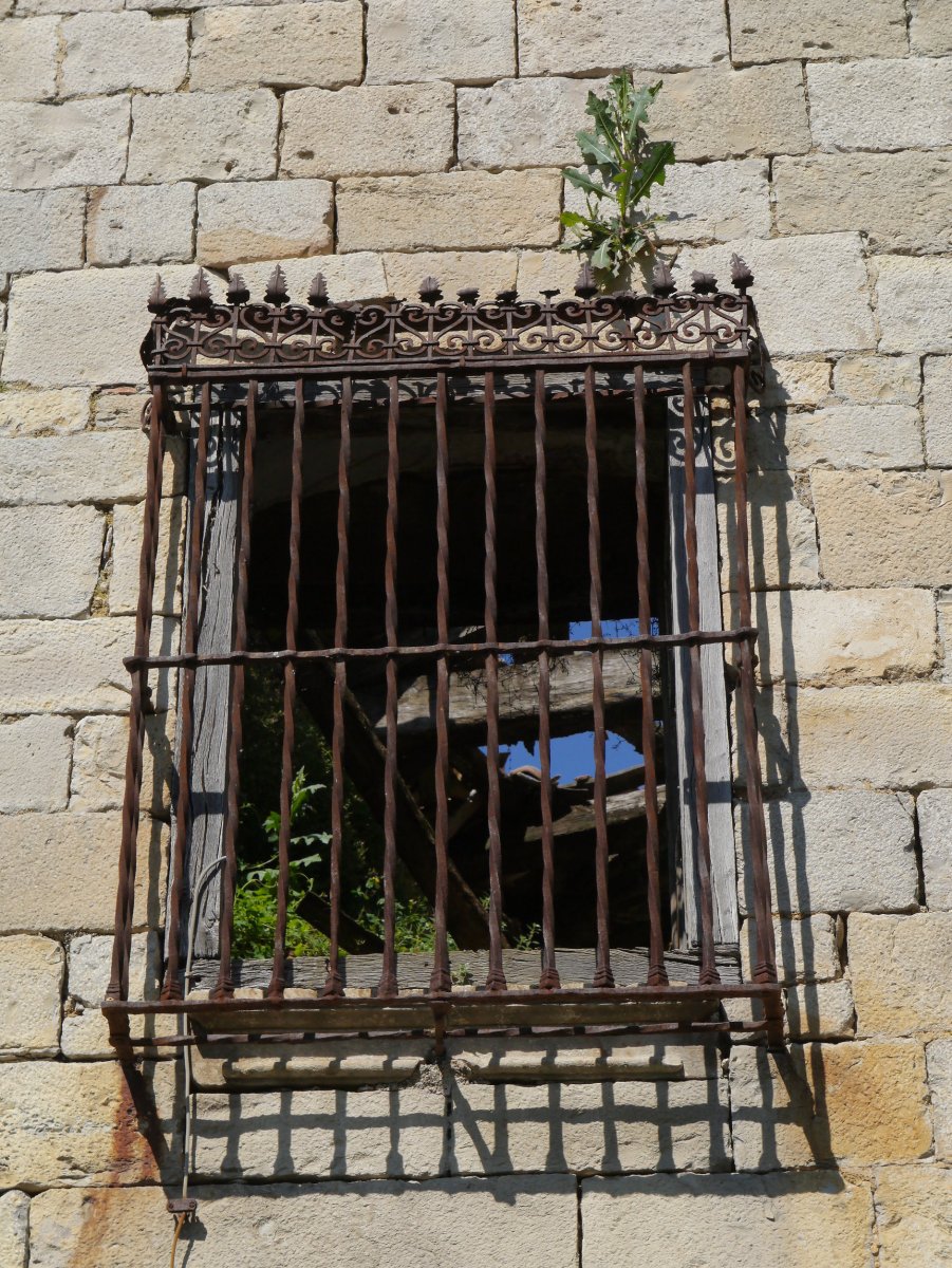 Cabo de Armería, Sarasa