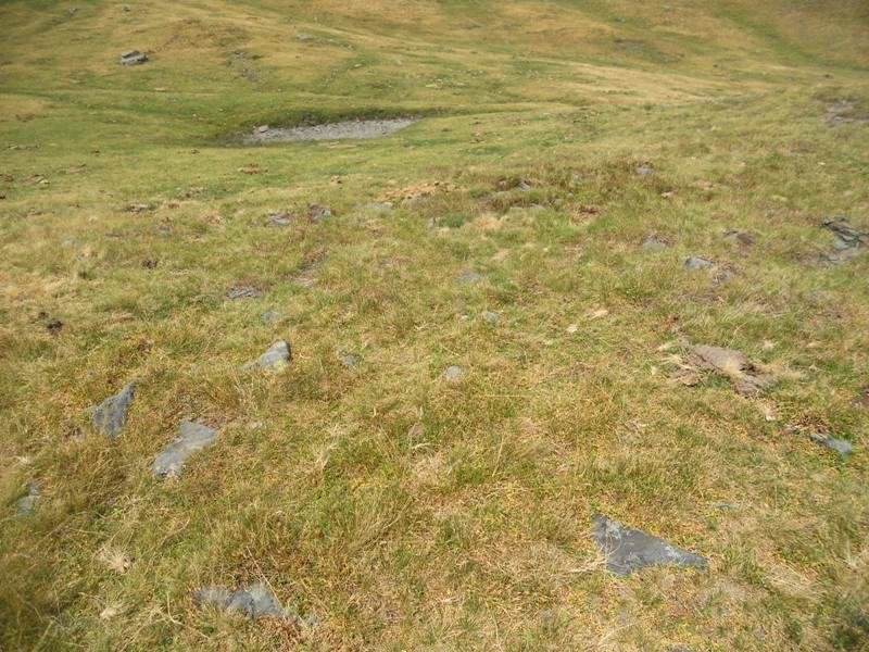 plàa de las baques 2