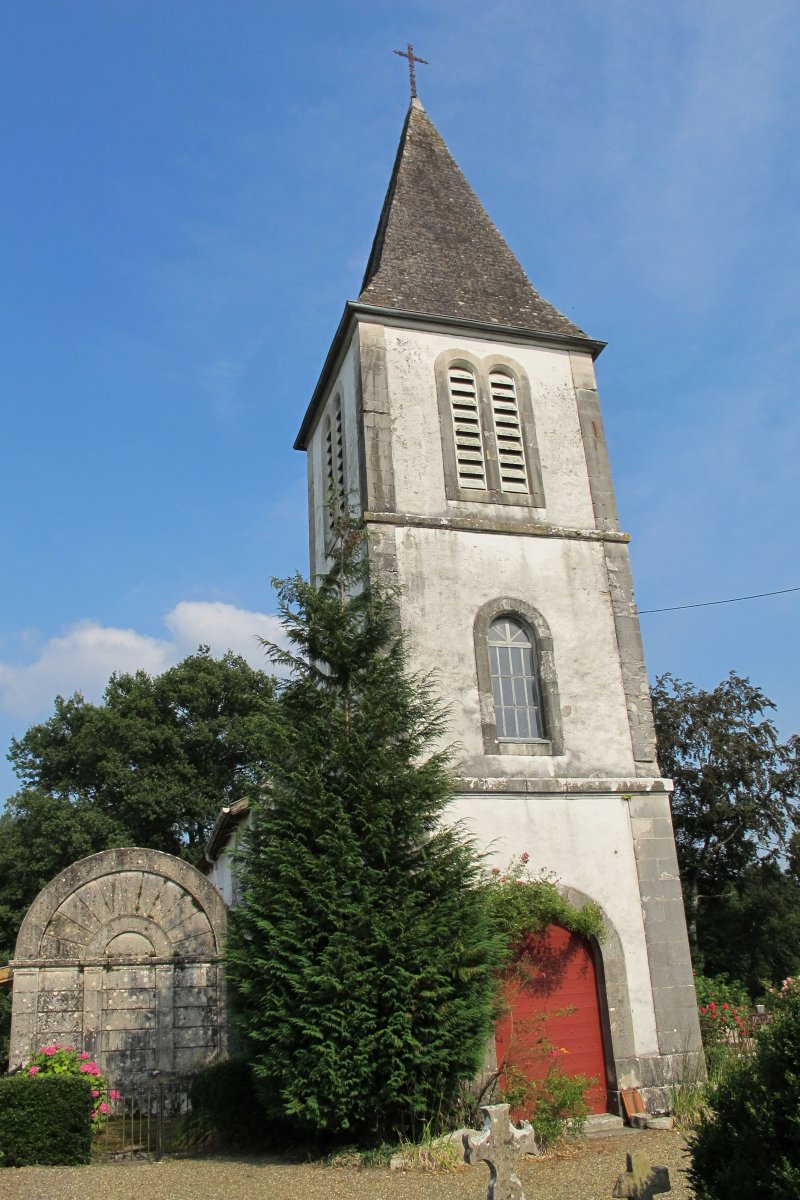 Ascension eliza, Ithorrotze