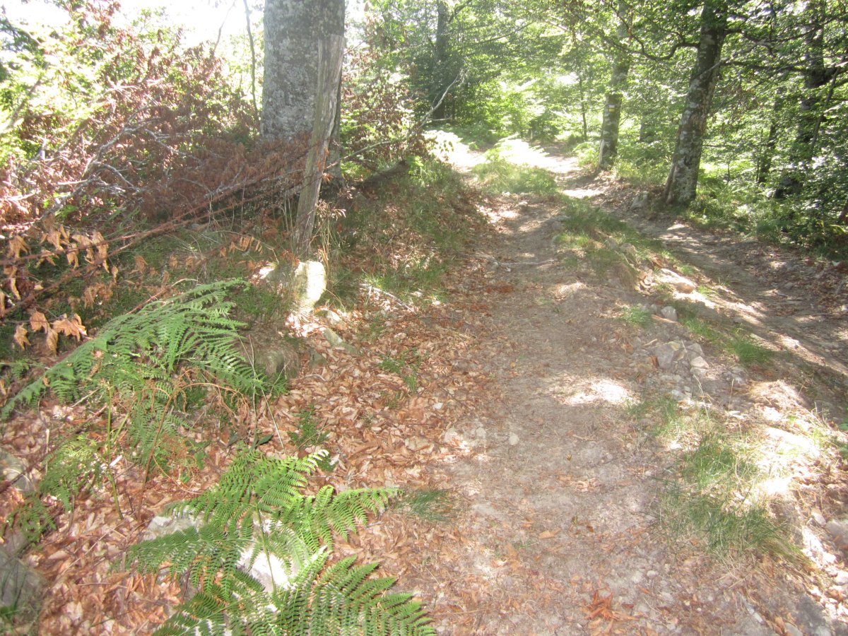 Túmulo Maizegur (Julio 2013)