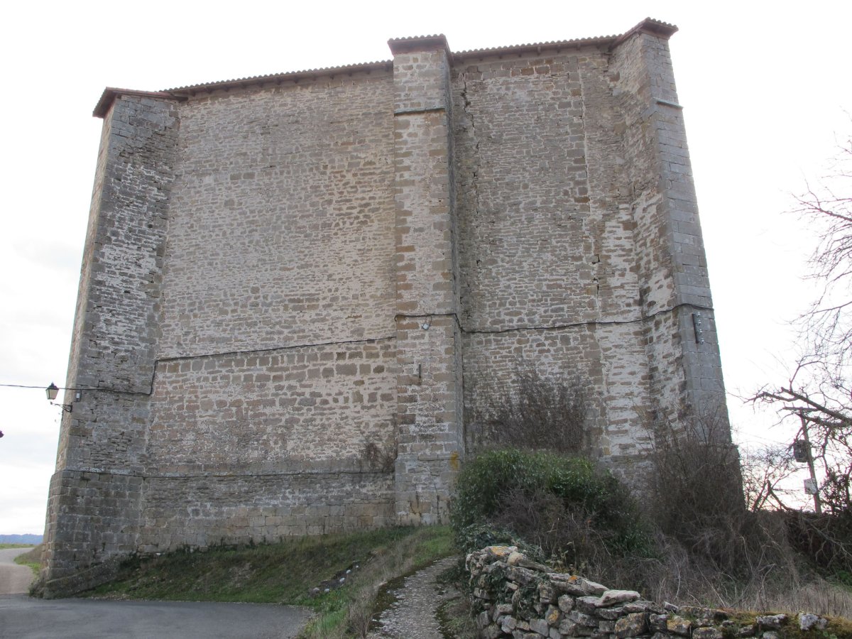 Asuncion eliza, Luzuriaga