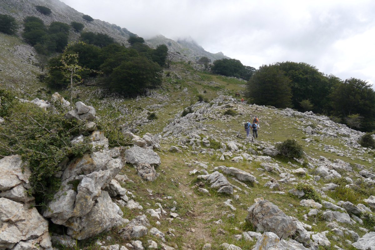 Besaide aldeko igoerako  bidea