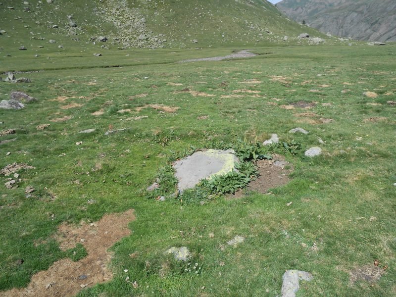 la rinconada harrespila