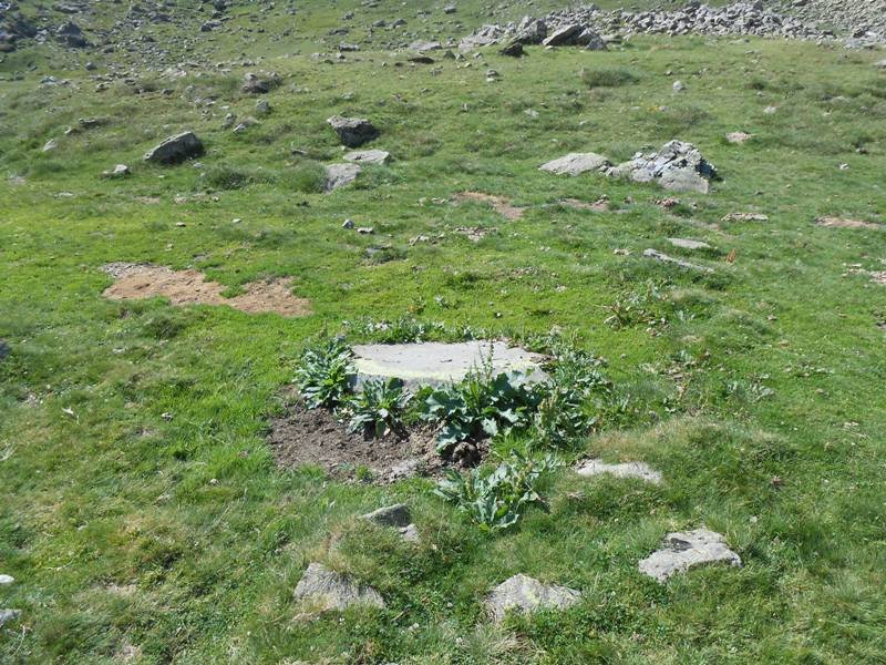 la rinconada harrespila