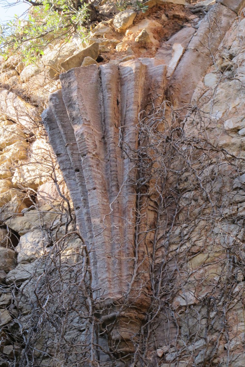 Desiñana ermita, Nazar