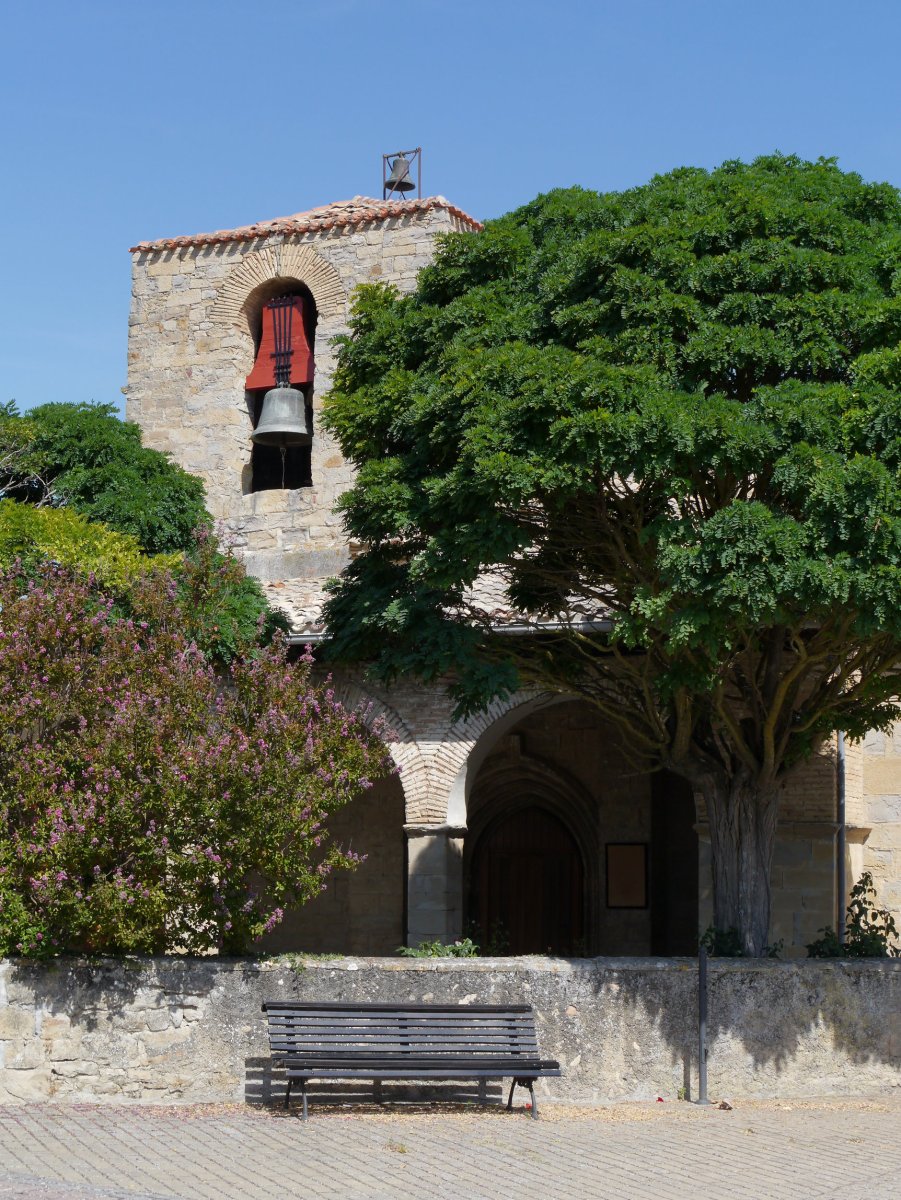 San Pedro eliza, Dorre