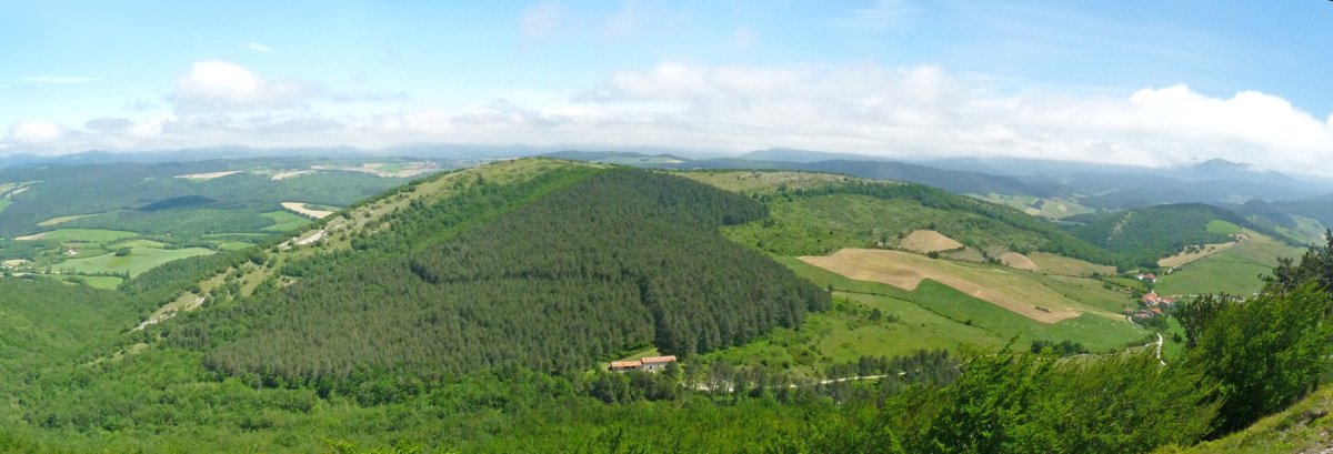 Arangaitz Artzelaietatik