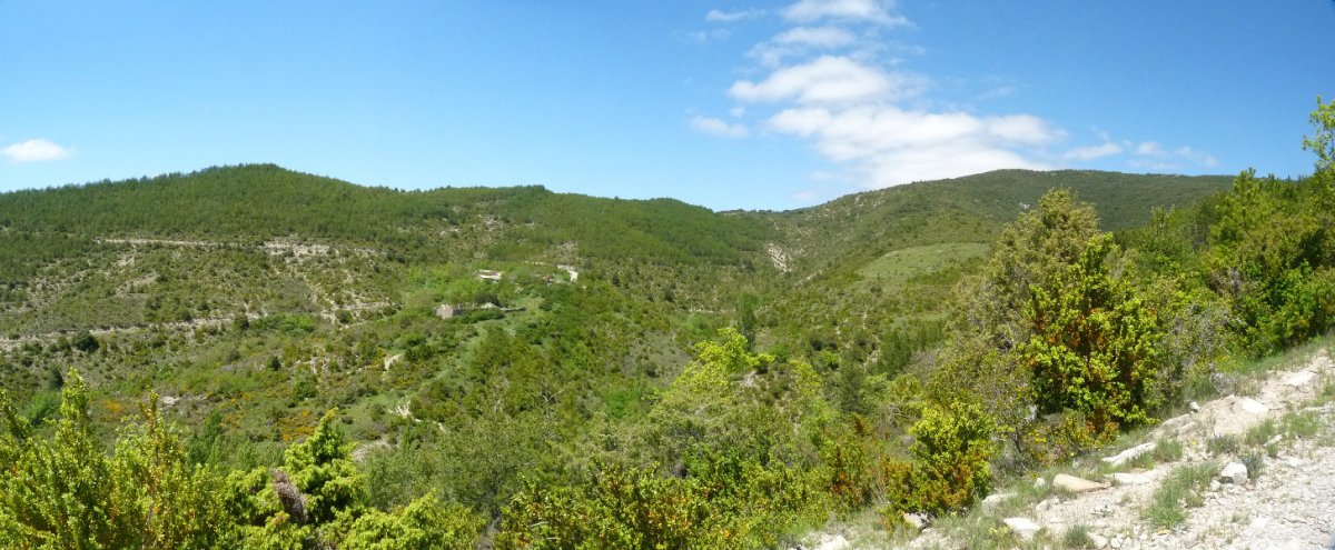 Autzolako sakana Txubingoko bidetik