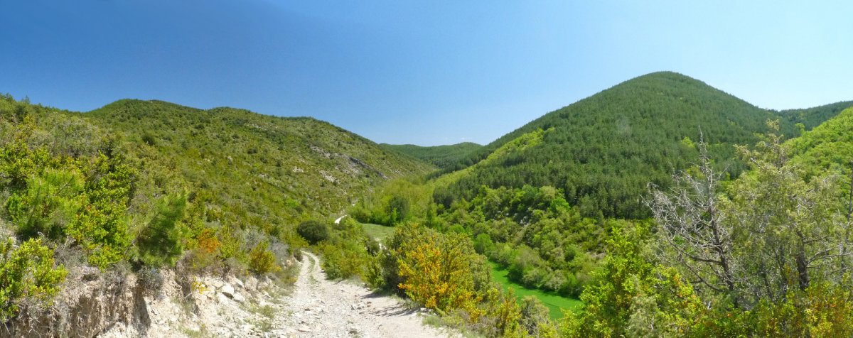 Fazeriako sakana Txubingoko bidetik