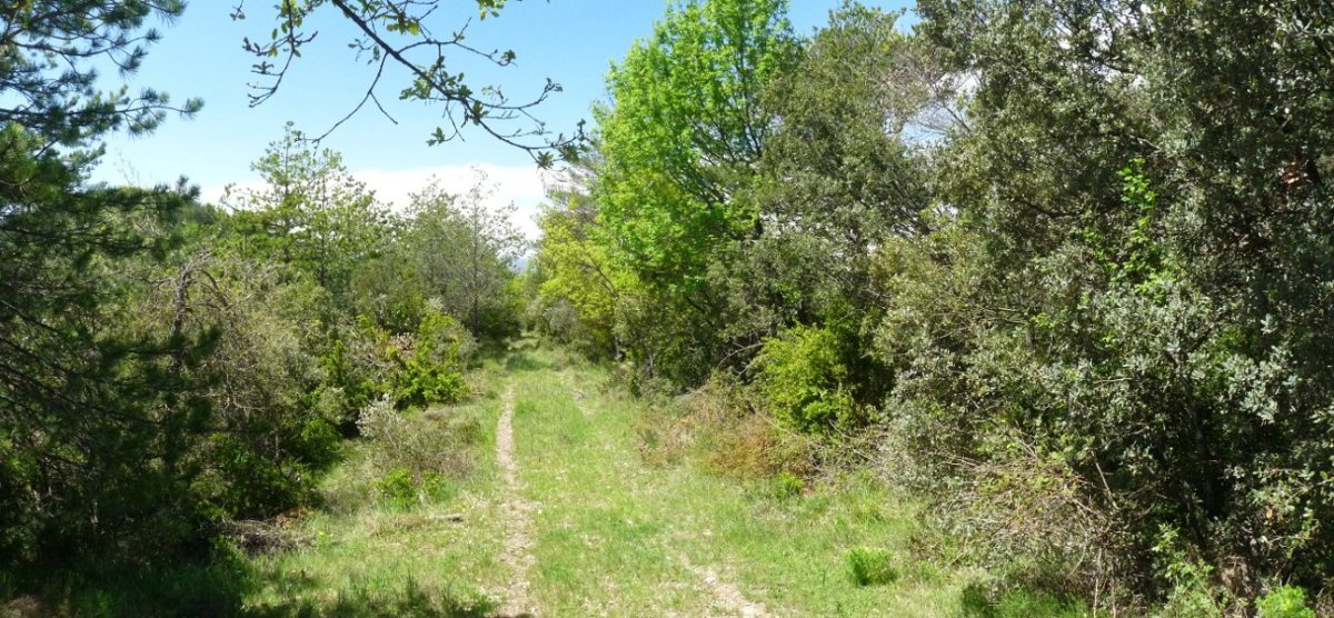 Mendien ertzetik eramanen gaituen bidea