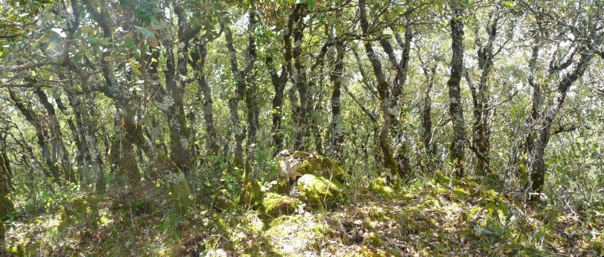 Txubingoko hegoaldeko gailurra (860m)