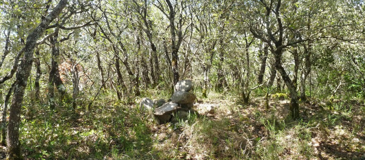 Txubingoko gailur nagusia, Nebera izenekoa