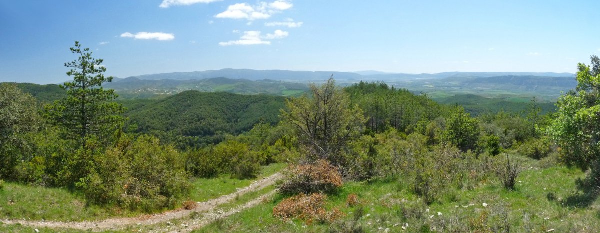 Erromanzadoko lurrak Txubingotik