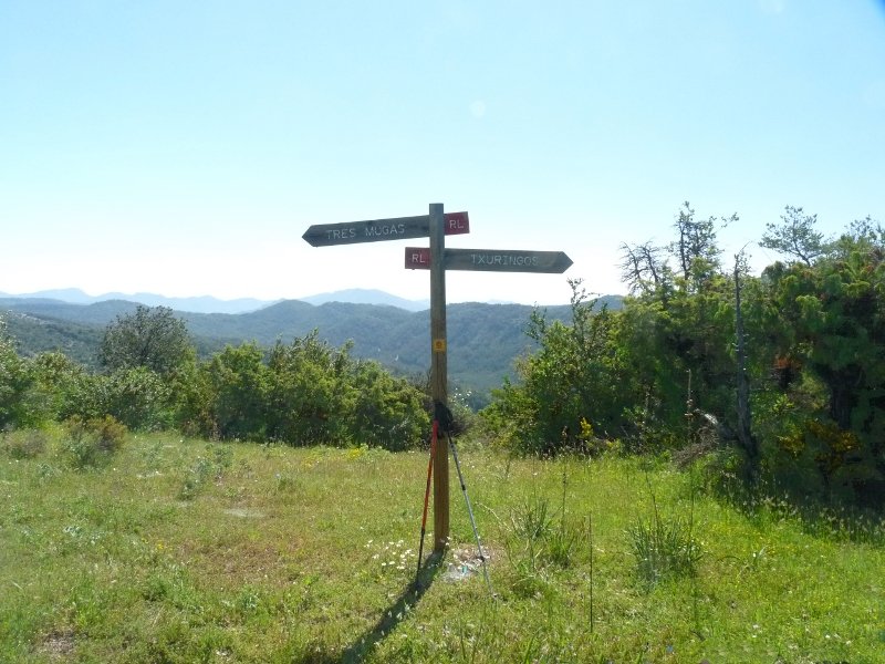 Nebera eta Zarikieta arteko lepoa