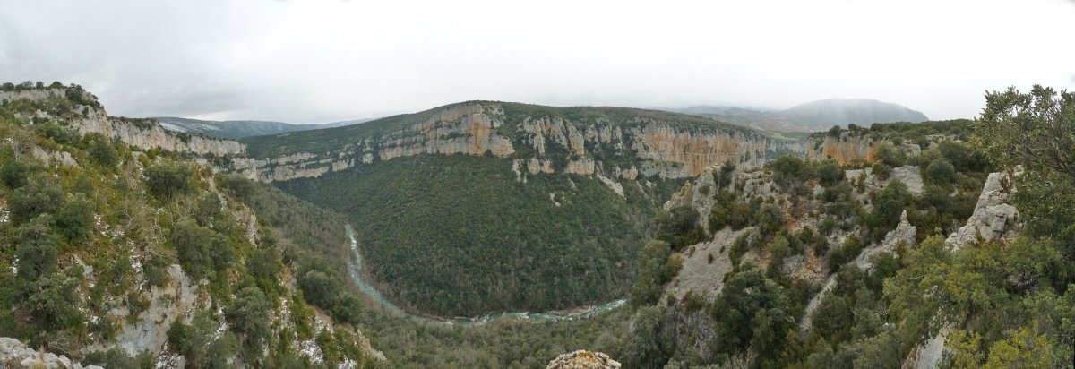 Arbaingo arroila ekialdetik