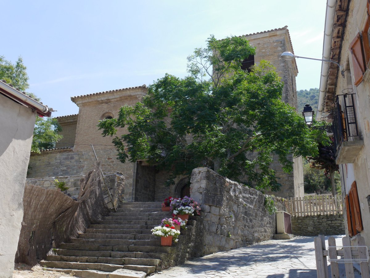 Ascension eliza, Otao