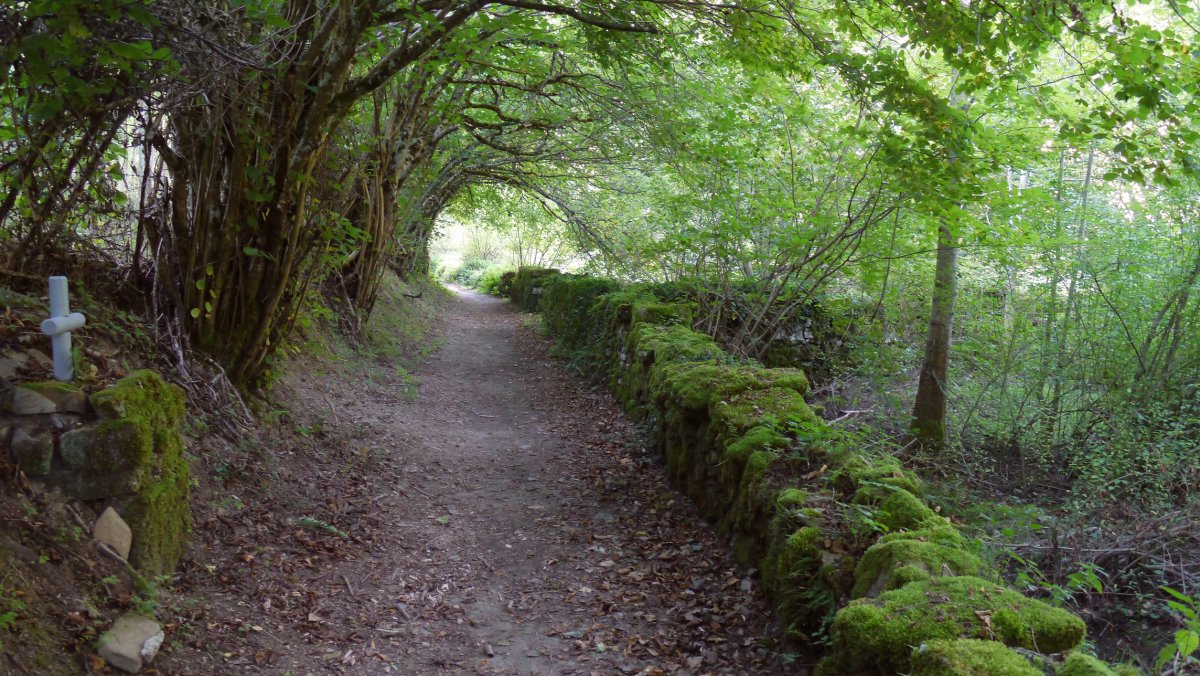 Idoiako Andra Mari ermitarako bidea, Izaba
