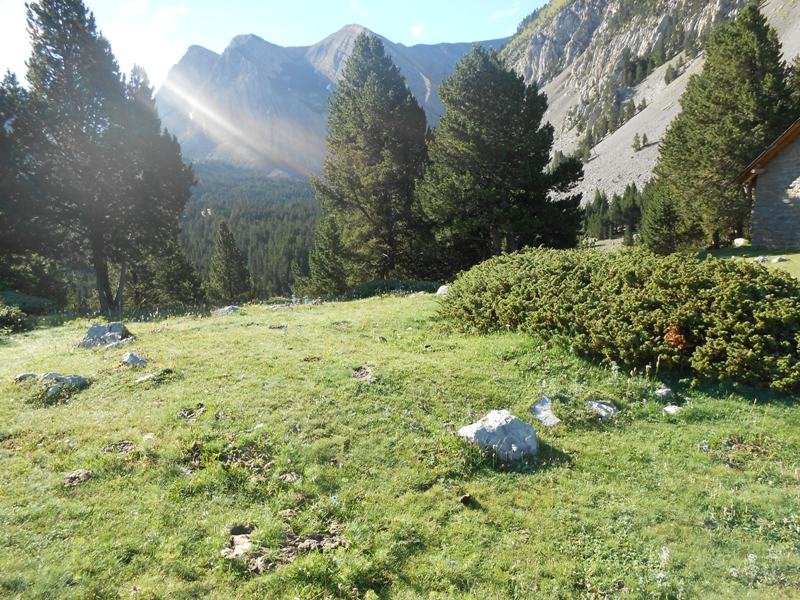 collata de labasar 1