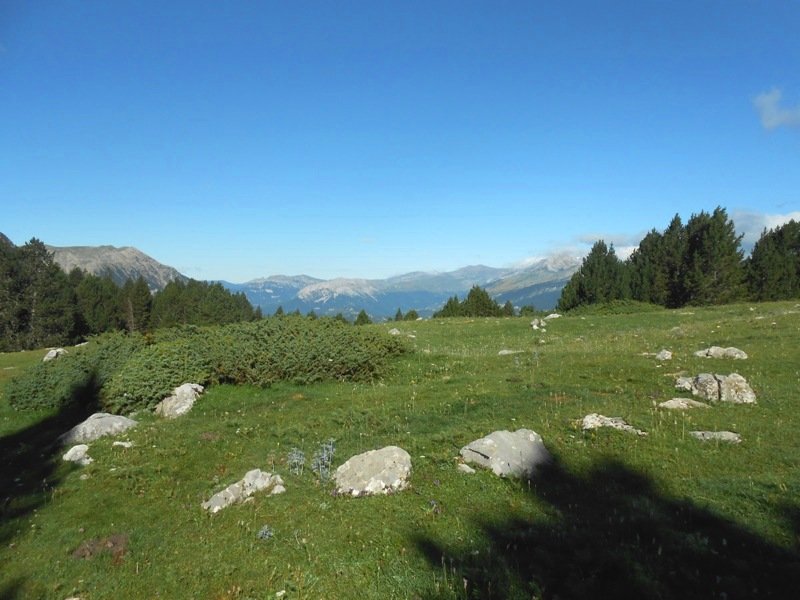 collata de labasar 1