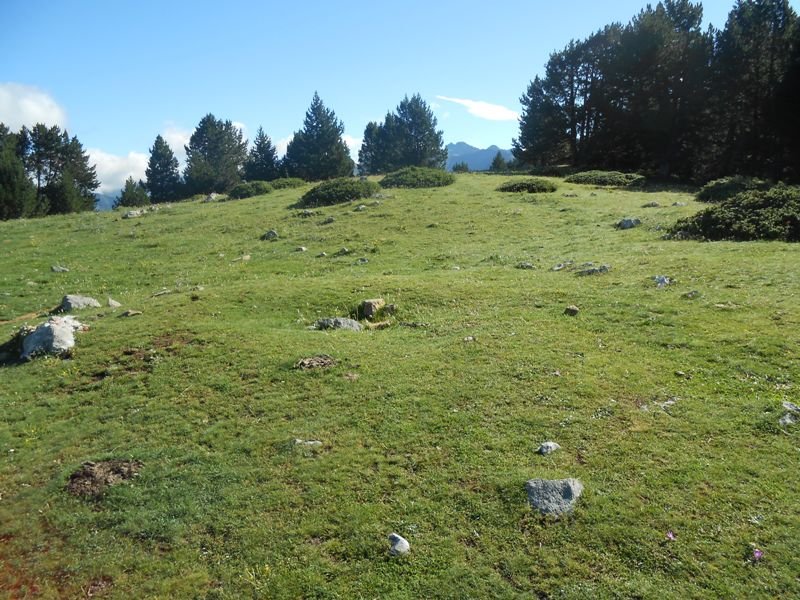 collata de labasar 3