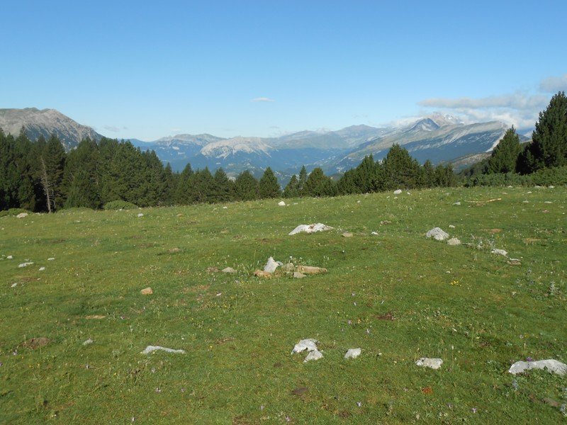 collata de labasar 3