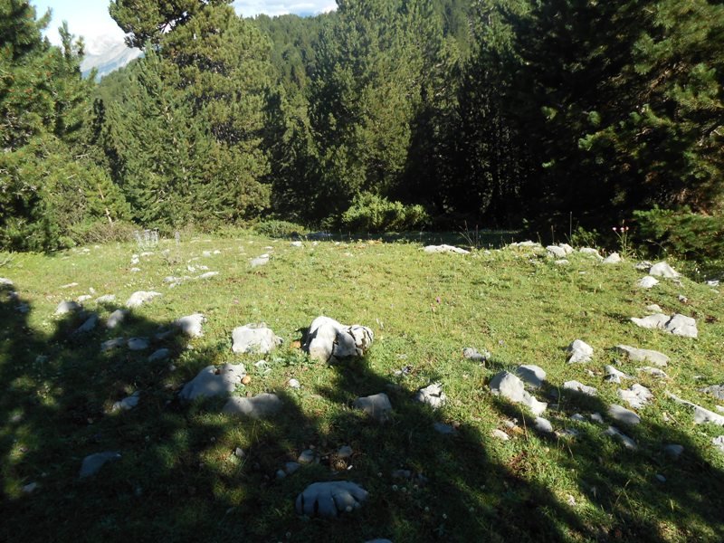 collata de labasar 7