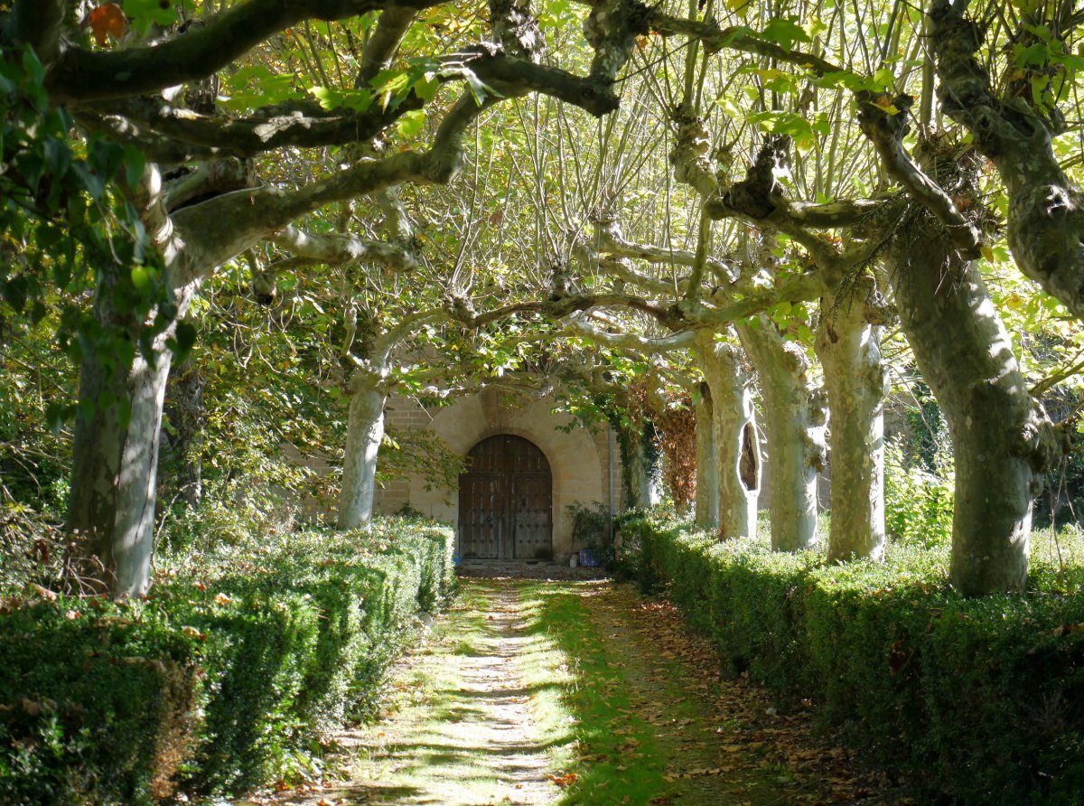 Elio jauregia, Ziritza