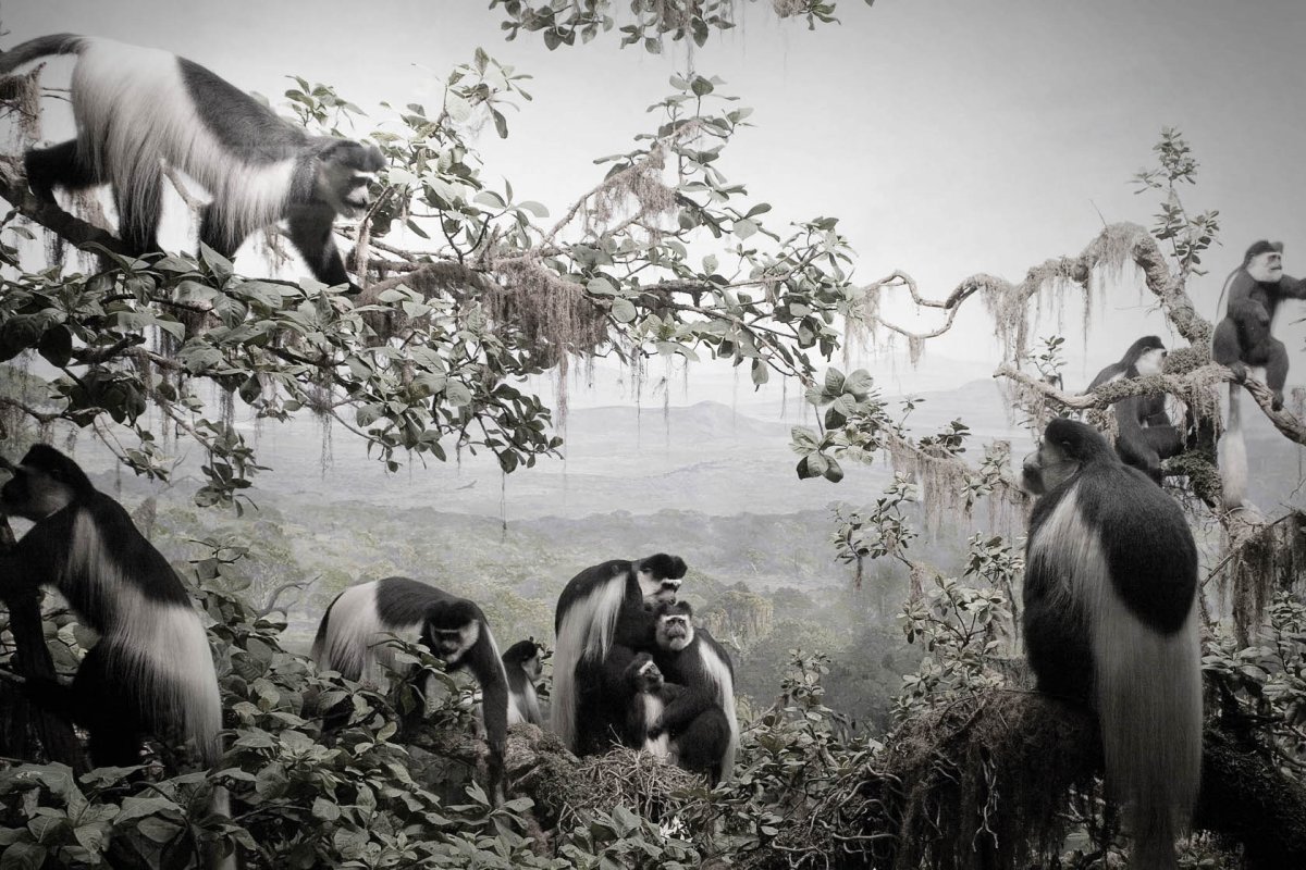 Malmasin iparraldetik ikusita