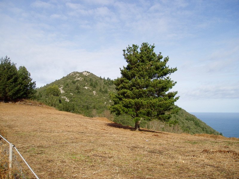 Atxurkulu hegoaldetik ikusita