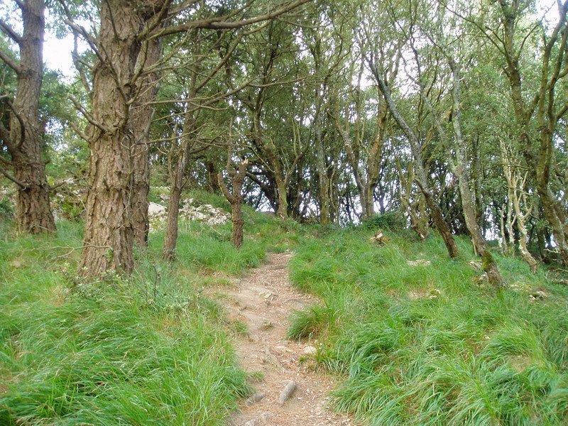 Otoioko tontorraren inguruan