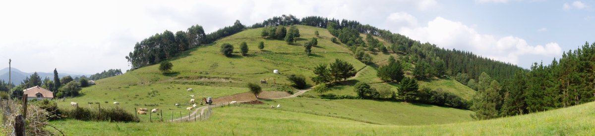 Kalamendi ipar-ekialdetik ikusita