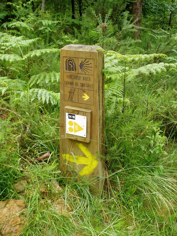 Donejakue bidearen seinale bat