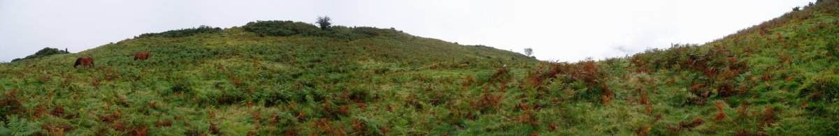 Olaburu trikuharriaren inguruan ikuspegi zabala