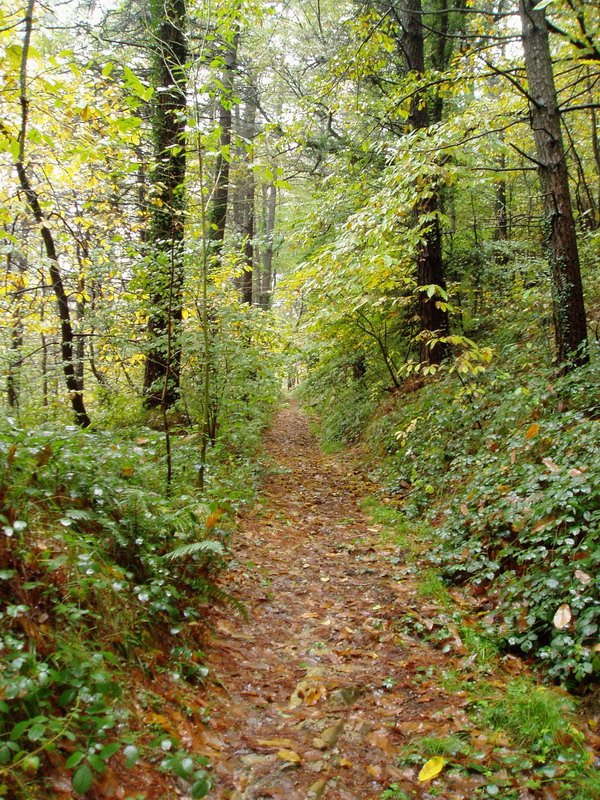 Aixola eta Erdella arteko bidea