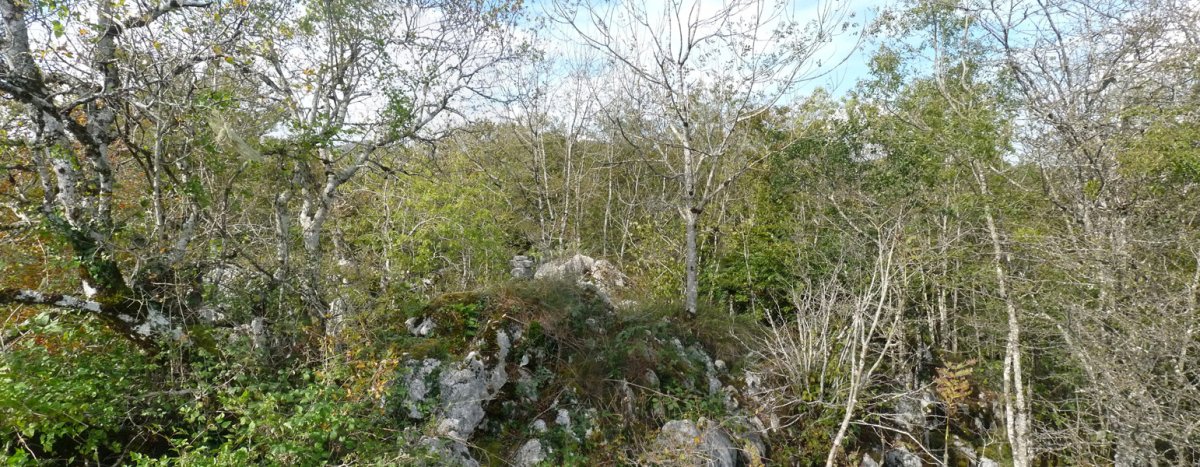 Zamariborroko gailurra