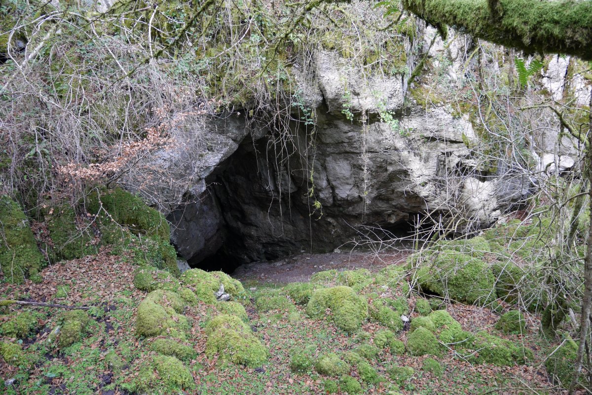 Artzainzulo leizea, Aralar.