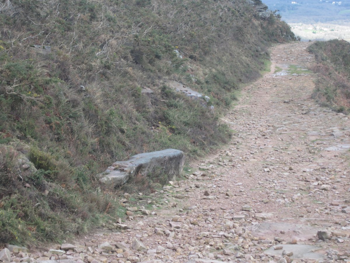 Menhir Androla    (Febrero 2014)