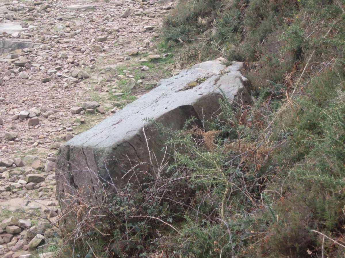 Menhir Androla    (Febrero 2014)